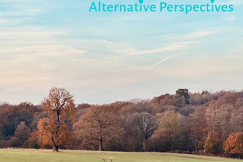Alternative Perspectives